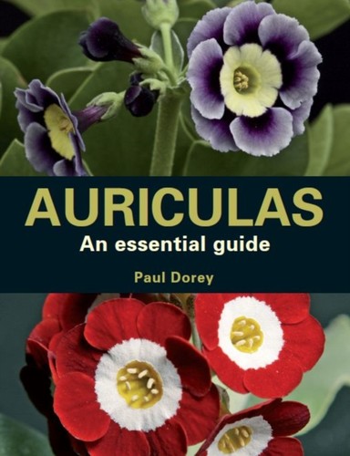 Auriculas essential guide - auriculas,