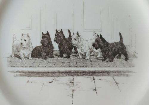 Wedgwood plate a full - wedgwood,