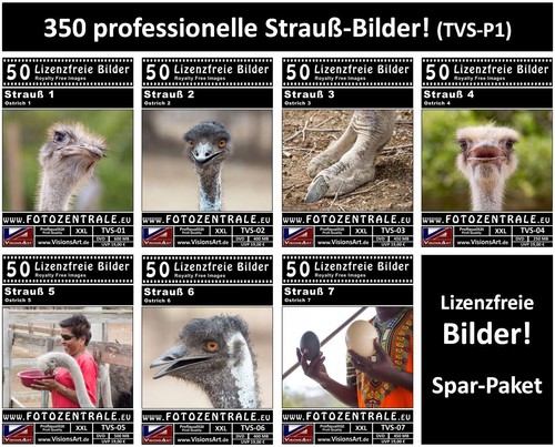 350 royalty free professional - royalty,