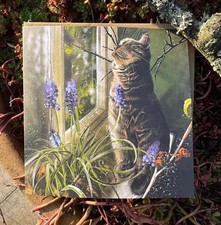 ALEX CLARK CAT IN WINDOW BLANK