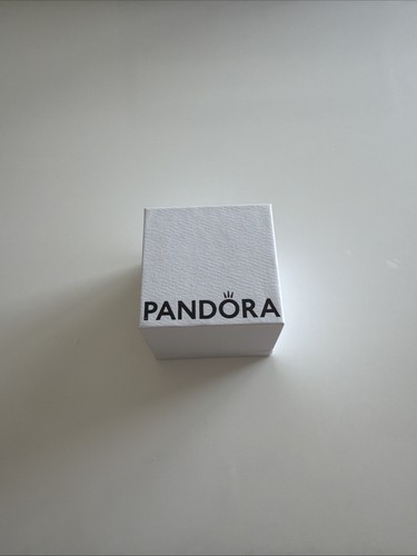 Pandora jewelry white - jewelry, empty