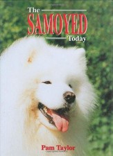 The Samoyed Today - Taylor