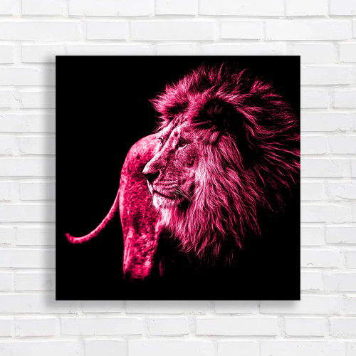Lion the shadows square - lion,