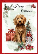 Labradoodle / Doodle Dog A6