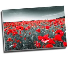 Black White & Red Poppy Field Floral Canvas Print Wall Art 30x20" A1