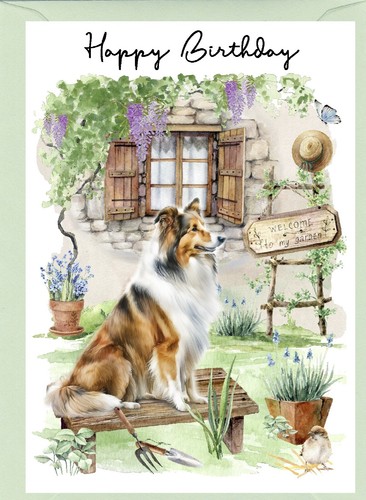 Rough collie dog - rough, (4"x