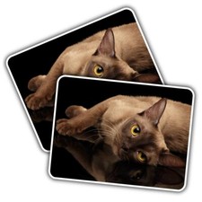 2x Vinyl Sticker Burmese Cat Kitten Cats #50418