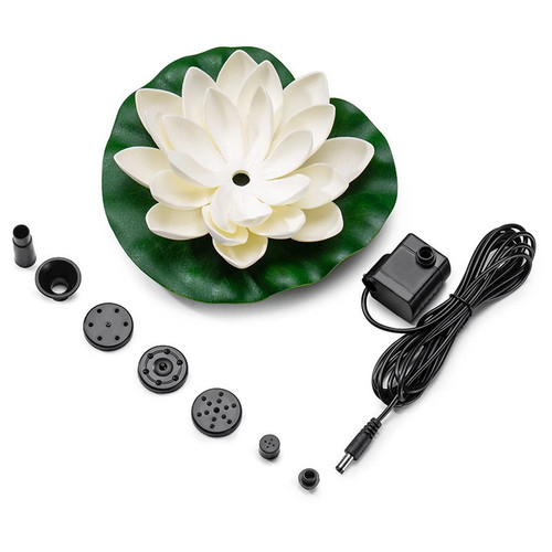 Lotus for garden - for, fountain
