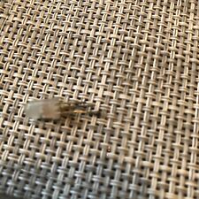 Cobra 148 GTL DX Superstar 360 rx/ tx LED upgrade - USED ! 