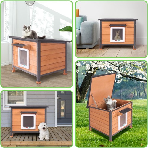 Wooden cat house outdoor - cat,