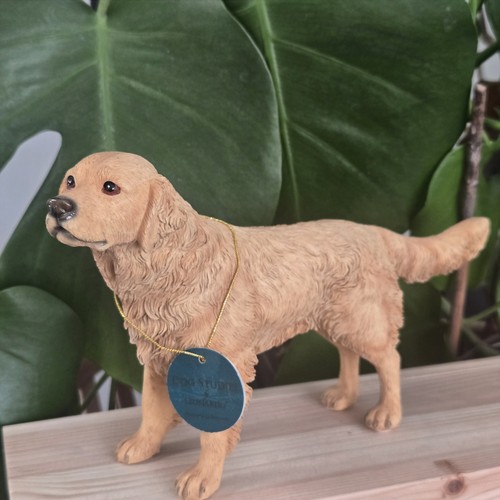 Leonardo dog studies golden - leonardo,