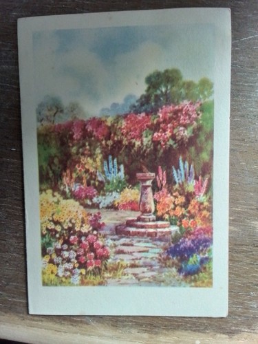 Unusual vintage 1950s - unusual,