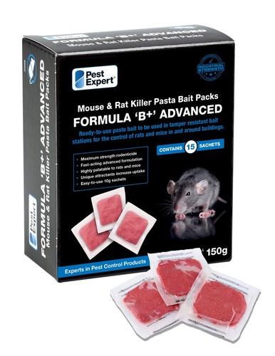 Pest expert rat mouse - mouse, killer