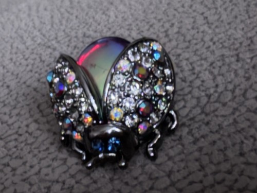 Vintage style scarab beetle - vintage,