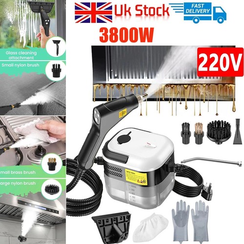 Portable steam cleaner - portable,