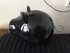 Black Large Pig With Horns