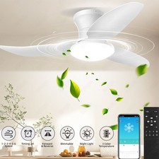 6 Speed Large LED Ceiling Fan