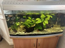 Tropical Fish Tank Aqua One AR