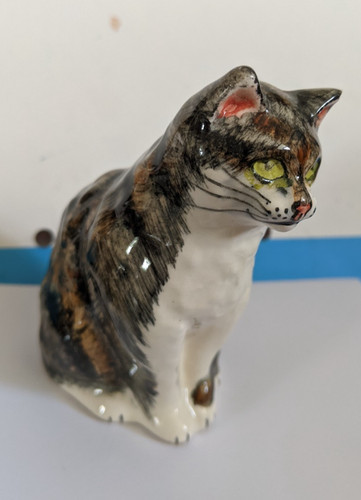 Cute tabby cat - , babbacombe