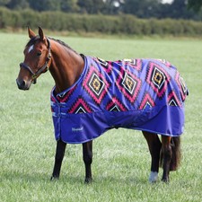 Shires Tempest Original 200