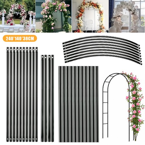 Rose arch climbing - rose,