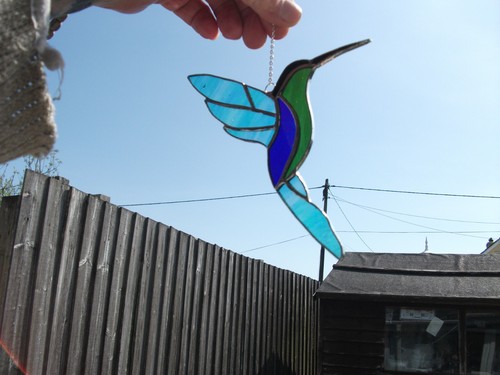 Stained glass hummingbird - stained,