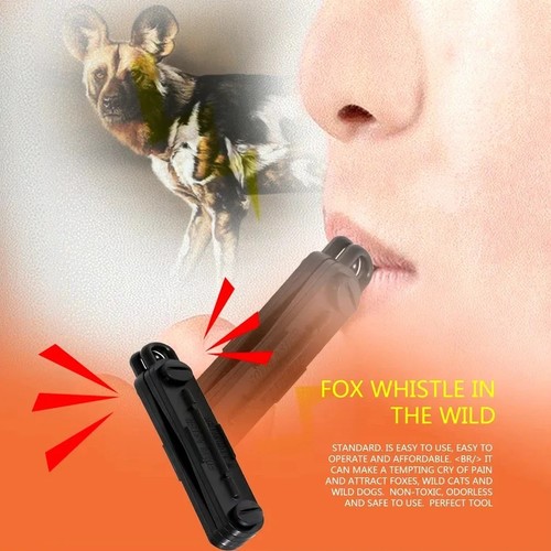 Outdoor fox rabbit predator - rabbit,