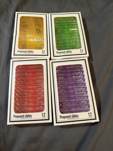 Prepared microscope slides - prepared,