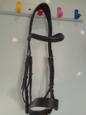 English Erganomically Shaped