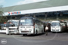 Coach Photo - Black & White