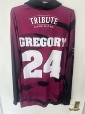 Somerset Cricket Shirt Lewis