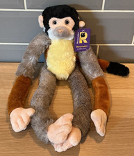 Ravensden Squirrel Monkey