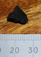 Rare 10mm coal from the famous RMS Titanic sunk 1912 with Signed COA