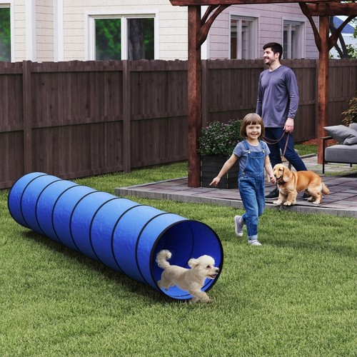 Portable dog training - dog, tunnel