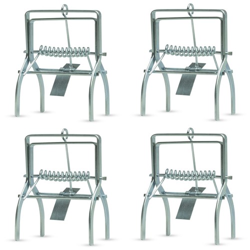 Mole vole claw - 4x,