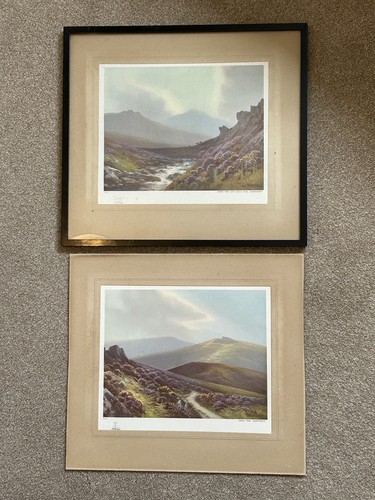 Pair vintage dartmoor - pair, l/e
