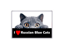 Love russian blue cats - i,
