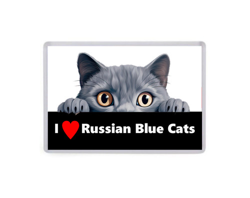 Love russian blue cats - i,