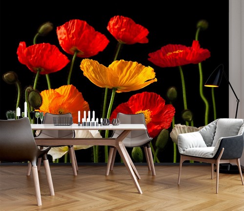 Red yellow poppy - 3d, n119