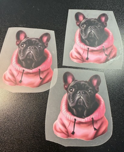 Beautiful french bulldog - french, dtf