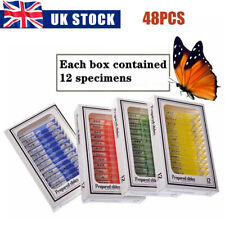 48Pcs Microscope Prepared Slides Insects Plant Animal Specimen Plastic for Kids