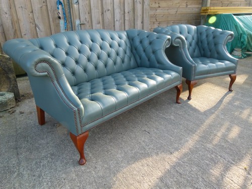 Elegant brights nettlebed - of,