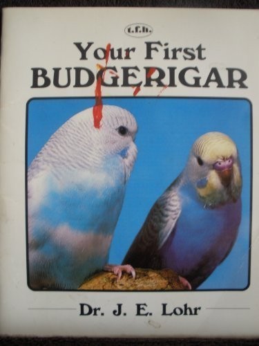 Your first budgerigar - first, (your