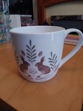 Spring Bunnies Rabbit Hare