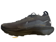 Nike Pegasus Trail 5 GORE-TEX