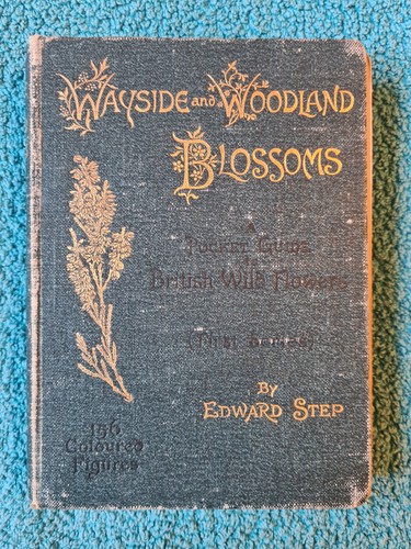 Wayside woodland blossoms - &,