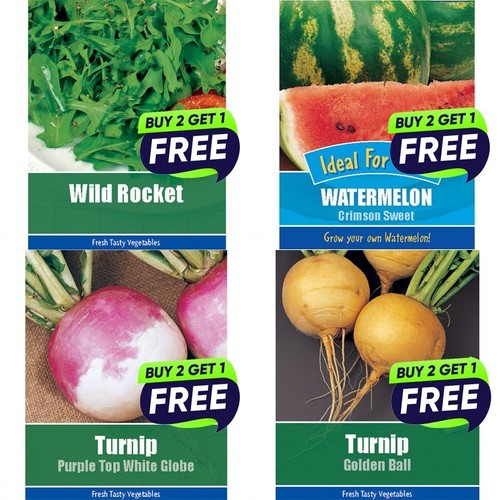 Vegetable seeds herb - herb,