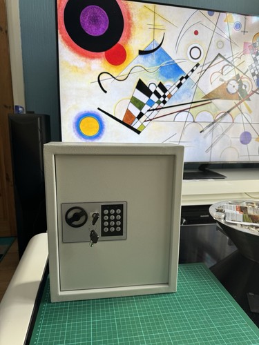 Electronic hook security - electronic,