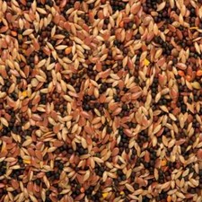 Skygold gourmet canary seed - canary,