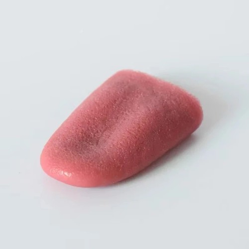 The potato chip - chip, can